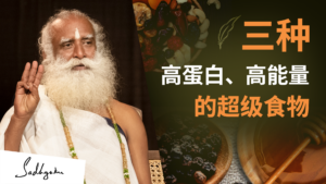 三种高蛋白、高能量的超级食物