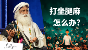 从身体之痛，到完美的生命几何态