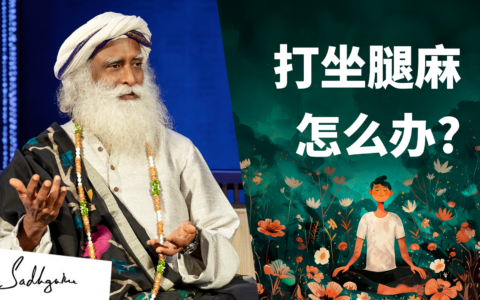 从身体之痛，到完美的生命几何态