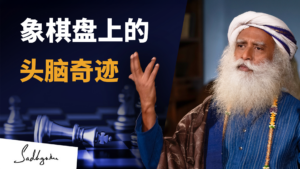 国王和象棋士的故事：有一种方法，让你的头脑成为奇迹