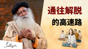 通往解脱的高速路
