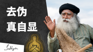 如果我不是身体也不是头脑，那么我是谁？