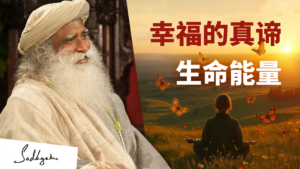 何为幸福？