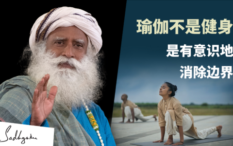 萨古鲁跟麻省理工师生解释瑜伽