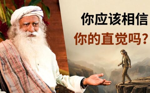 你的直觉来自恐惧还是智慧