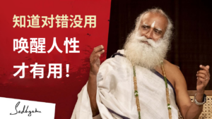 道德说教会引发冲突,唤醒我们内在的人性才能带来幸福